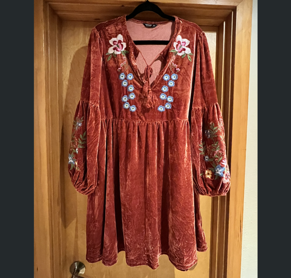 SHEIN Rust Red Velvet Embroidered Long Sleeve Dress